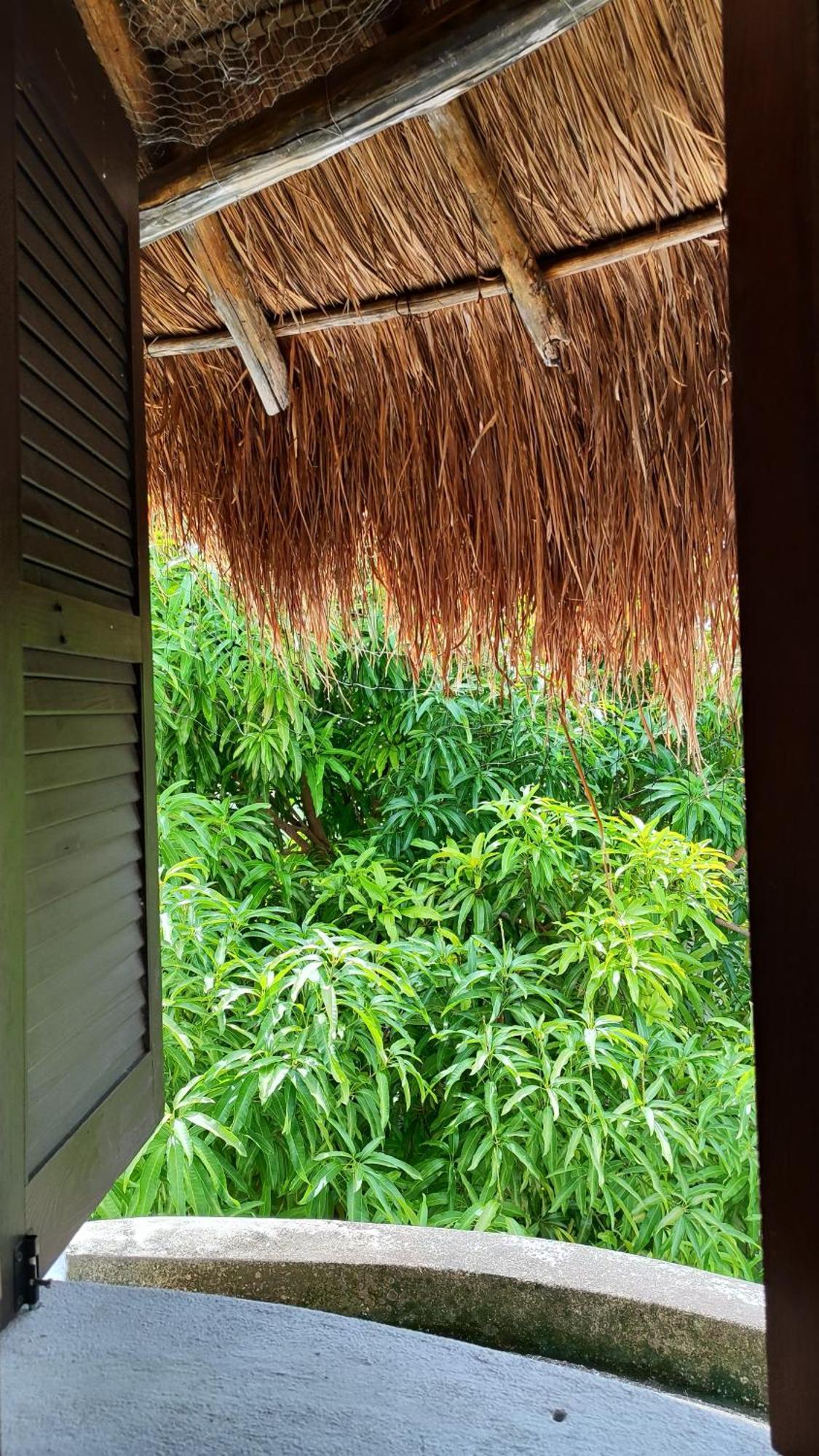 Amaranto Bed And Breakfast Cozumel Exterior foto